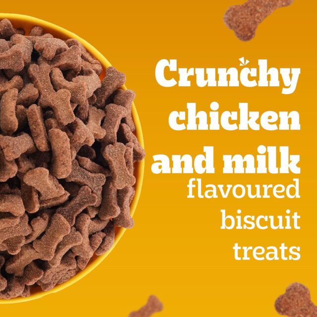 PEDIGREE BISCROK Biscuits in Chicken Flavour, Dog Treat - Image 5