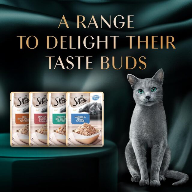 Sheba Rich Premium Adult (1+ Years) Wet Cat Food, Maguro & Bream Flavour, 35 g Pouch - Image 6