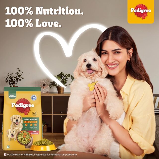 PEDIGREE Balanced and Vegetarian Dog Dry Food for Adult and Puppy - Image 3