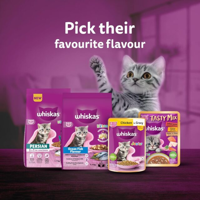 Whiskas Junior Mother Cat & Kitten (2-12 Months) Dry Cat Food, Ocean Fish Flavour - Image 9