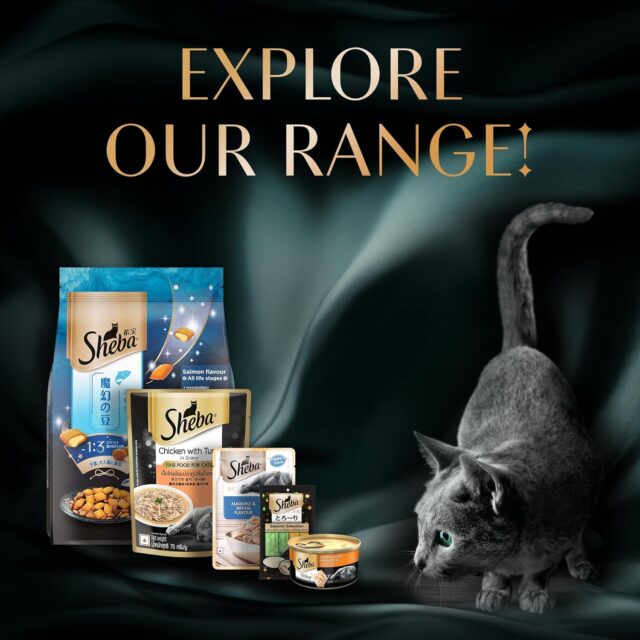 Sheba Deluxe Premium Adult (1+ Years) Wet Cat Food, Tuna and Prawns in Gravy, 85 g Can (Pack of 24) - Image 6