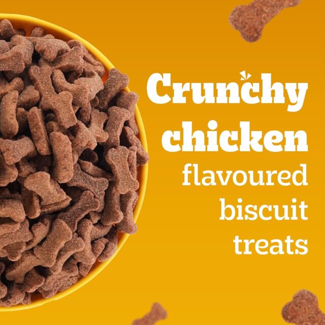 PEDIGREE BISCROK Biscuits in Chicken Flavour, Dog Treat - Image 6