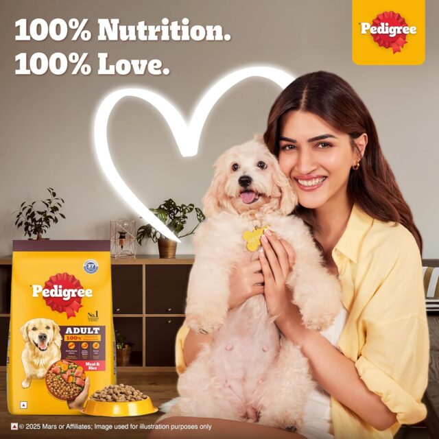 PEDIGREE Meat and Rice Flavour Dog Dry Food - Image 3