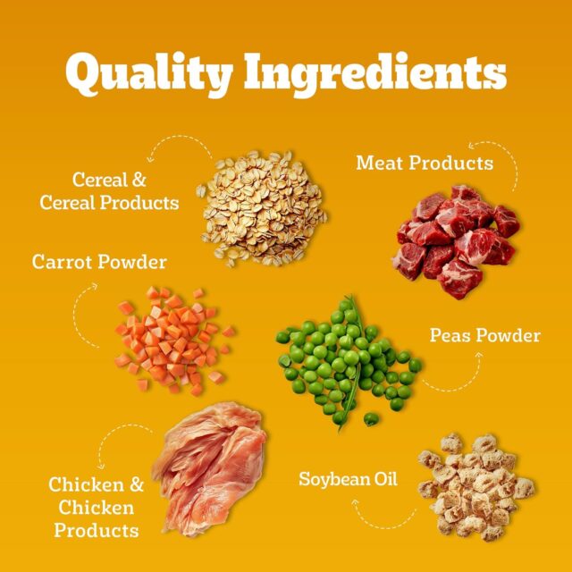PEDIGREE Chicken and Vegetables for Adult Dogs Dry Food, 1kg - Image 5