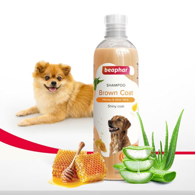 Beaphar Shampoo Transparant Brown Coat Dog, 250 ml - Image 2