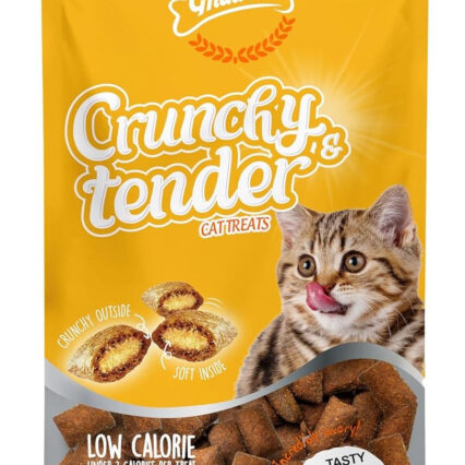 Gnawlers Crunchy & Tender Cat Treats Chicken Flavor, 65 g