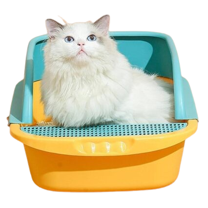 Cat Litter Supplies