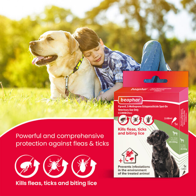 Beaphar Flea & Tick Spot On Combotec-Large Dog (20-40Kg) - Image 2