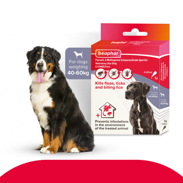 Beaphar Flea & Tick Spot On Combotec-Giant Dog (40-60 kg) - Image 2