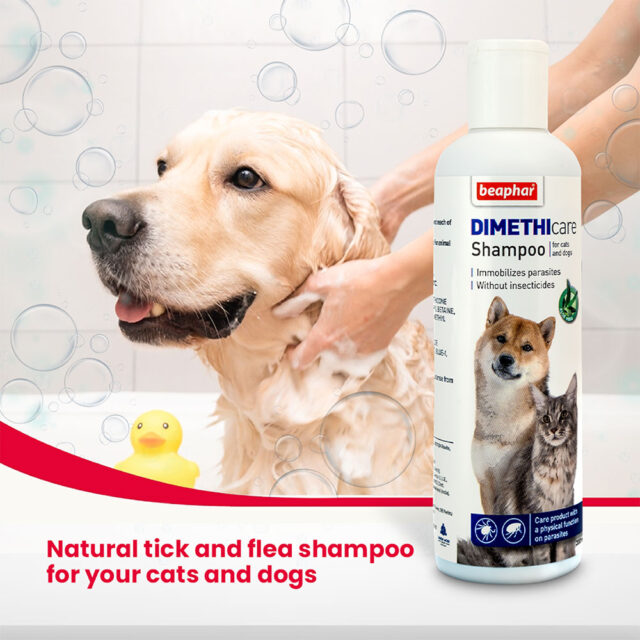 Beaphar Dimethicare Flea & Tick Shampoo for Dogs & Cat, 250ml - Image 2