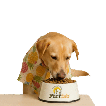 Dog Food