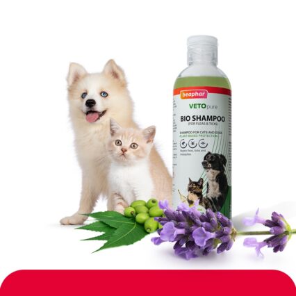 Beaphar Vetopure Bio Shampoo for Dogs & Cats, 250 ml
