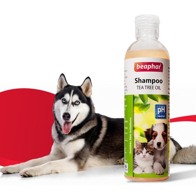 Beaphar Tea Tree Oil Shampoo for Dogs & Cats, 250 ml
