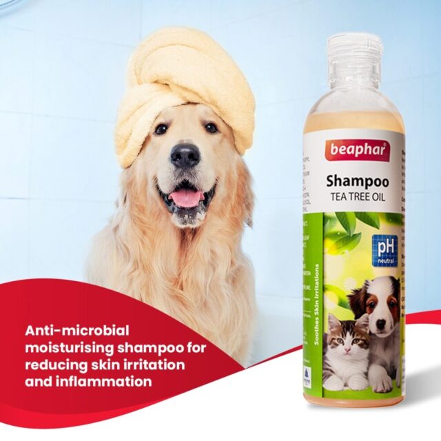 Beaphar Tea Tree Oil Shampoo for Dogs & Cats, 250 ml - Image 2