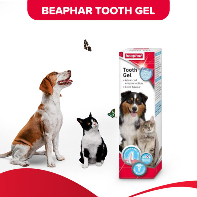 Beaphar Toothgel Liver 100g for dogs & Cats - Image 2
