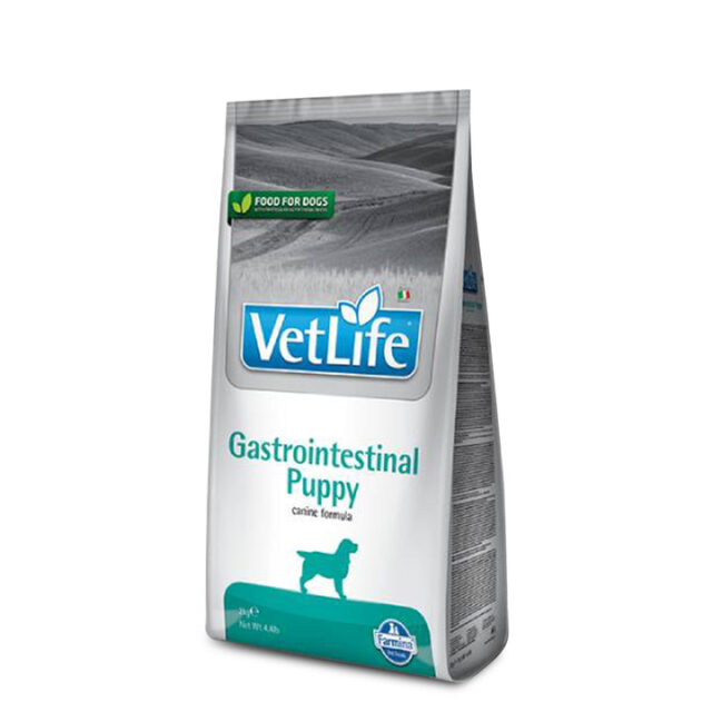Farmina Vet Life Natural Diet Gastrointestinal Dry Dog Food, 2Kg