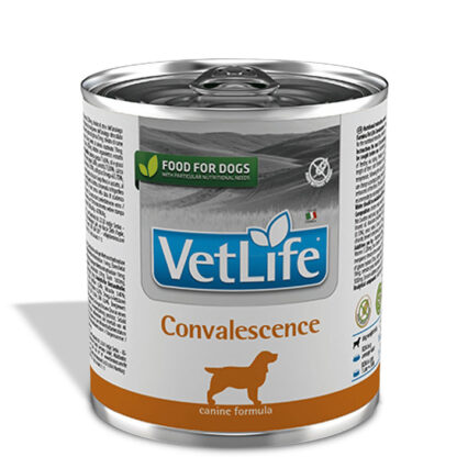 Farmina Vet Life Convalescence Natural Diet Wet Dog Food, 300g