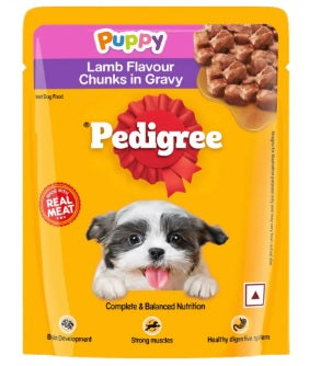 PEDIGREE Puppy Wet Dog Food, Lamb Flavour Chunks in Gravy Pouch, 70g