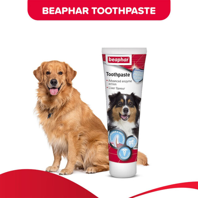 Beaphar Toothpaste Liver Flavor, 100g for Dogs - Image 2