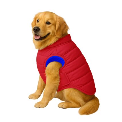Winter Wear