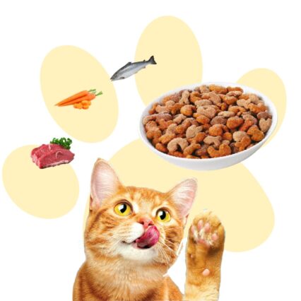 Cat Treats