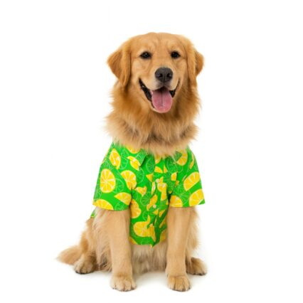 Dog Clothing
