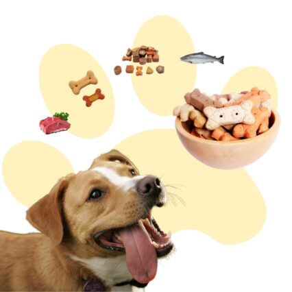 Dog Treats & Chews
