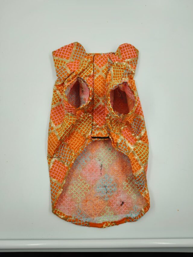 Furrfab Festive Wear Orange Color Dog Sherwani - Image 3