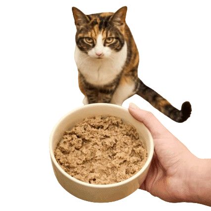 Cat Food
