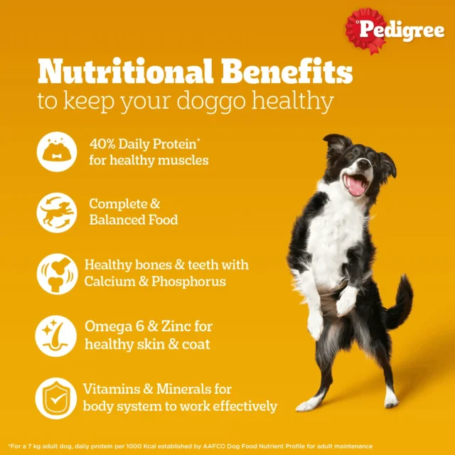 PEDIGREE Chicken & Liver Chunks in Gravy for Adult Dogs Wet Food 130 gm - Image 3