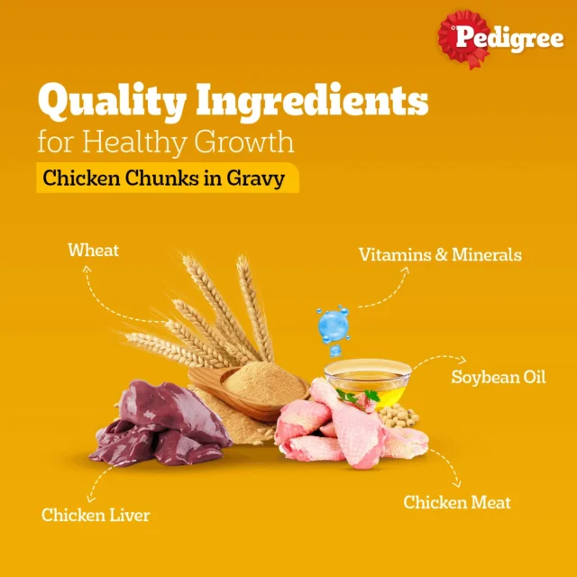 PEDIGREE Chicken & Liver Chunks in Gravy for Adult Dogs Wet Food 130 gm - Image 4