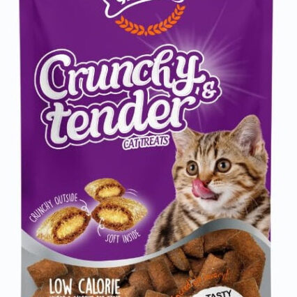 Gnawlers Crunchy & Tender Cat Treats Salmon Flavor, 65 g