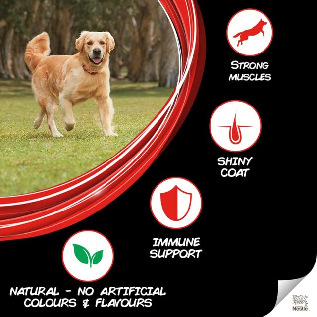 Purina Supercoat Adult All Breed Dry Dog Food with Chicken - Image 2