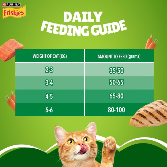 Purina Friskies Indoor Delights Dry Cat Food, 1kg - Image 7