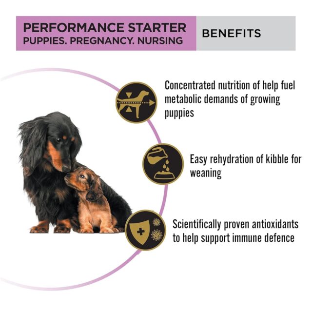 Purina Pro Plan Puppy food Performance Starter kit - Image 7
