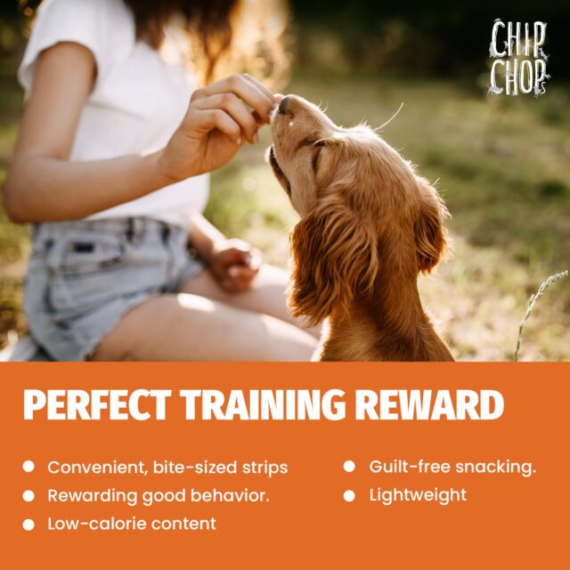 Chip Chops Roast Chicken Strips Dog Treat, 250g - Image 5