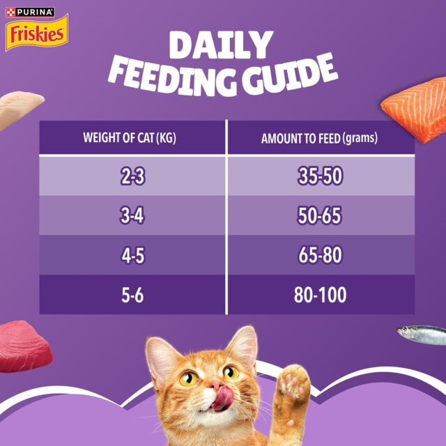 Purina Friskies Adult Surfin' Favourites Dry Cat Food - Image 6