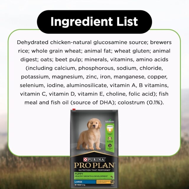 Purina Pro Plan Puppy food for Large Sized dogs - Image 6