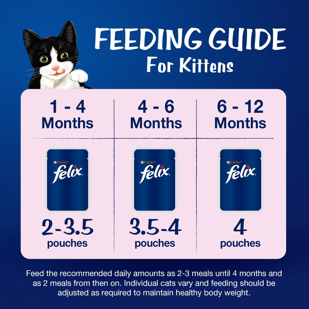 Purina Felix with Tuna in Jelly Wet Food for Kittens, 85g - Image 3