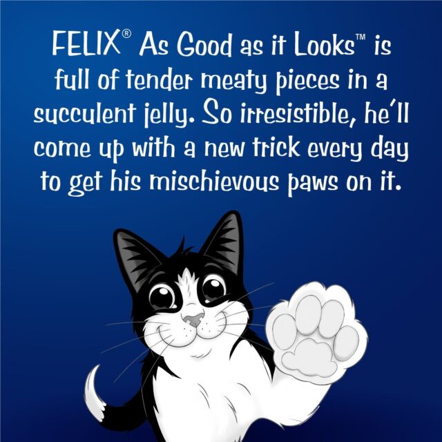 Purina Felix Adult with Sardine in Jelly Wet Cat Food, 85g - Image 2
