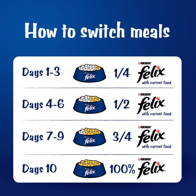 Purina Felix Adult with Sardine in Jelly Wet Cat Food, 85g - Image 3