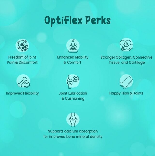 Opuspet Opticure Optiflex Everyday for dogs & cats, 100ml - Image 3