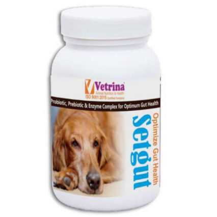 Vetrina Setgut Powder for Dogs and Cats, 50g (Pack of 2)