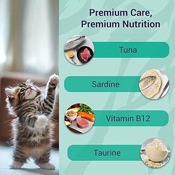 Purrfecto Wet Kitten Food with Ocean Platter in Jelly, 80g (Pack of 48) - Image 4