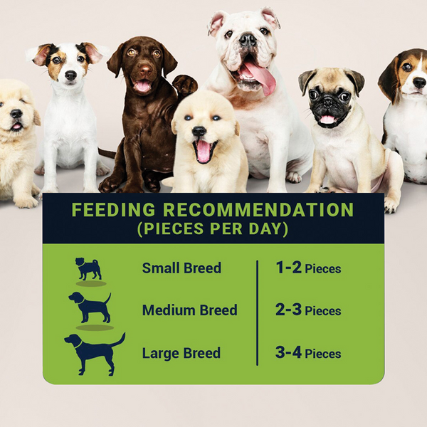 Bowlers Apple Jerky Dog Treats | Apple Appeal, 70g - Image 6