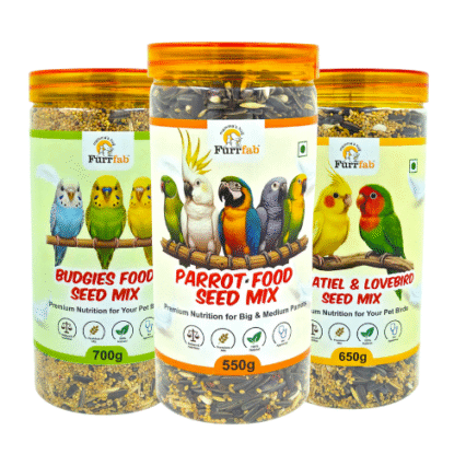 Bird Food