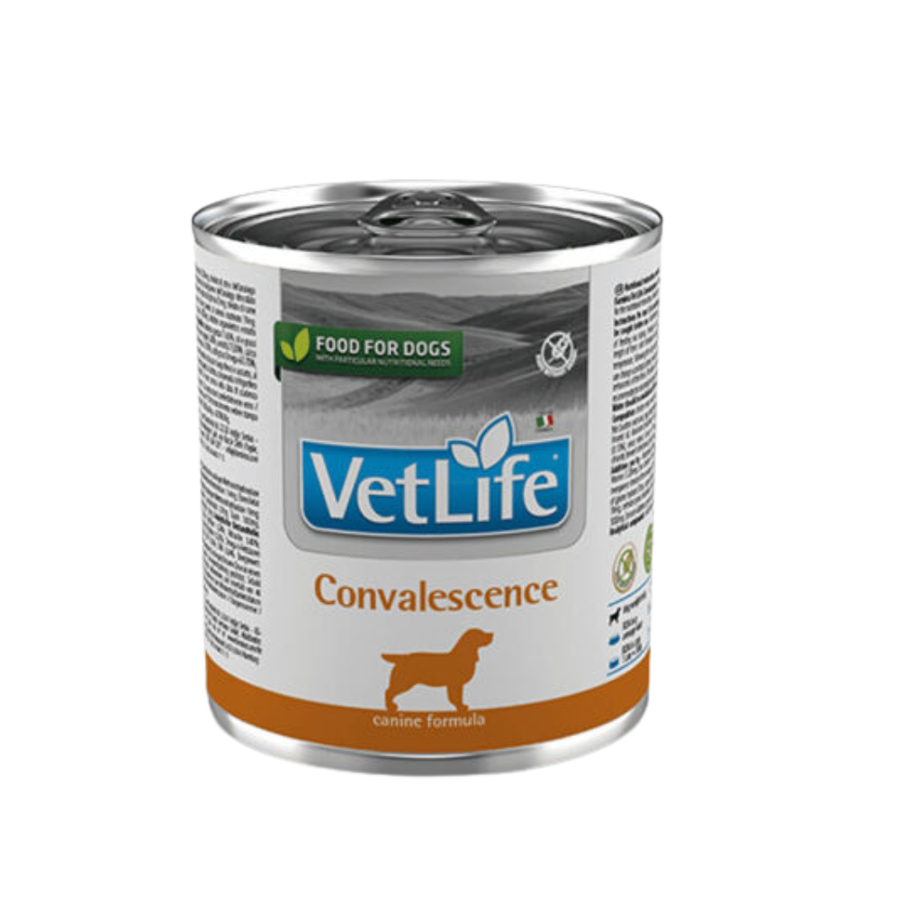 Farmina Vet Life Convalescence Natural Diet Wet Dog Food, 300g