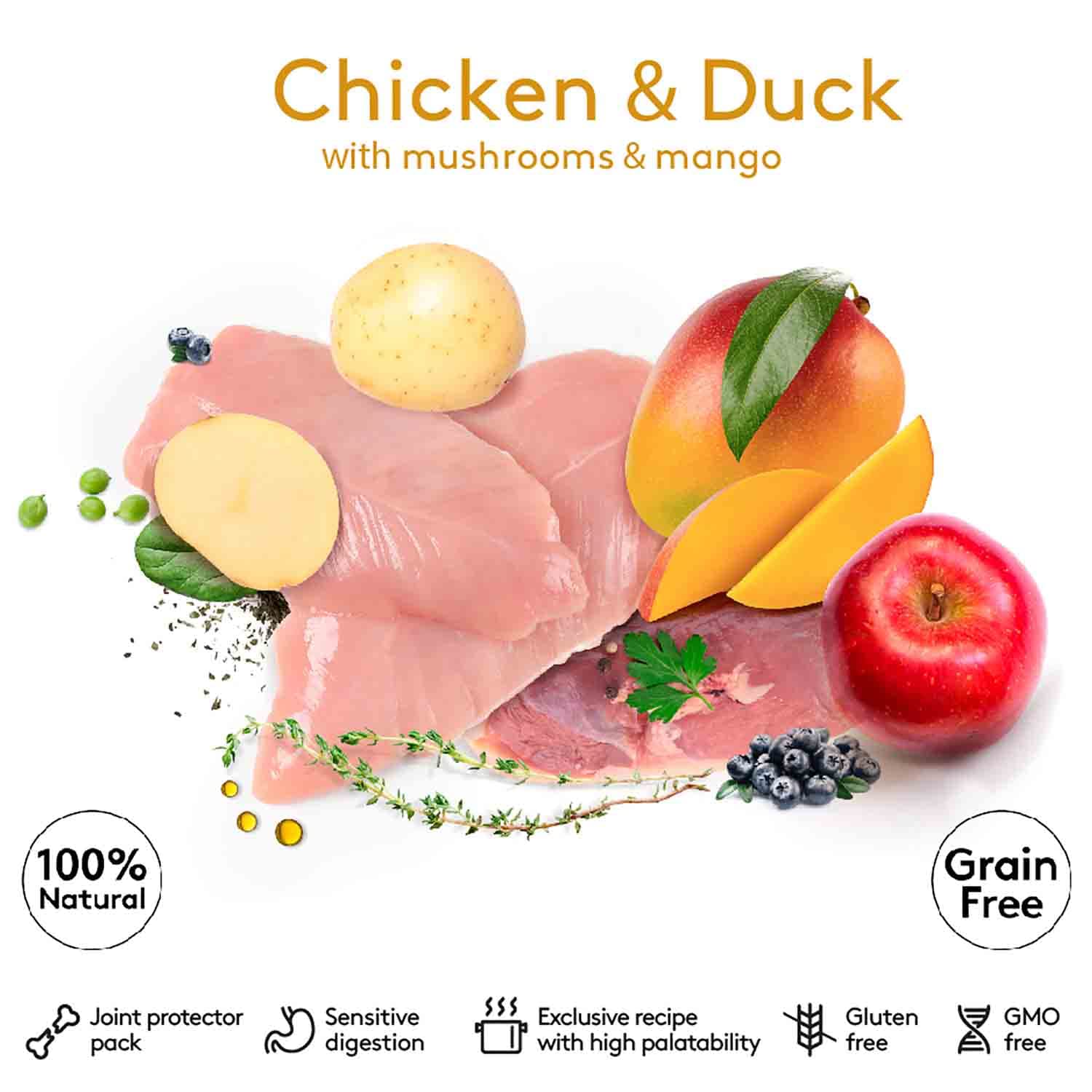 Dibaq Sense Chicken & Duck with Mushrooms & Mango Adult Wet Dog Food, 380g - Image 2