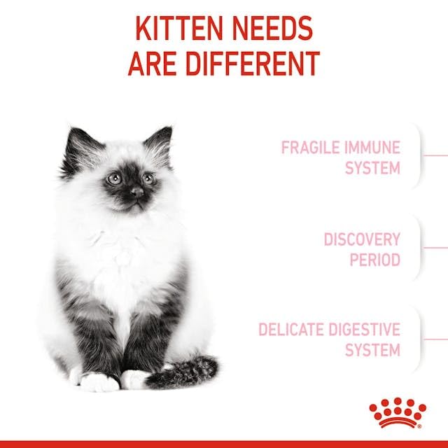 Royal Canin Second Age Kitten Dry Food - Image 7