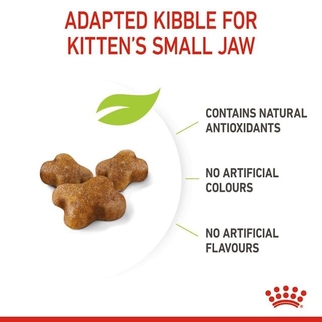 Royal Canin Second Age Kitten Dry Food - Image 9